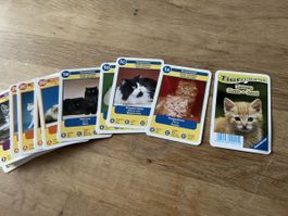 Tierquartett Katzen Ravensburger, neu.