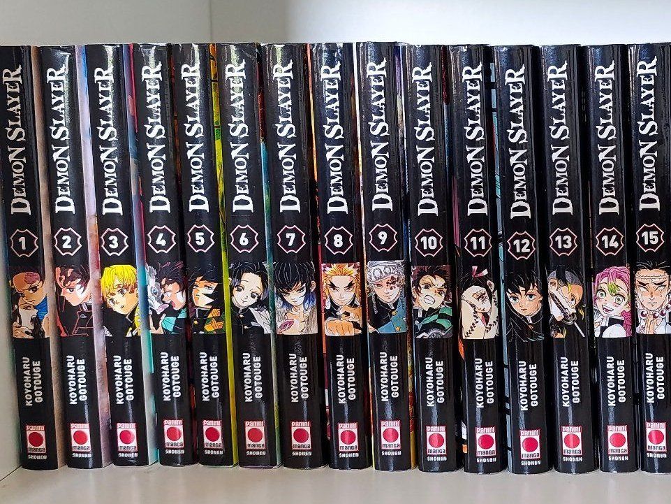 Comics: Demon Slayer intégrale – Gebraucht aus Lausanne von ale_2s25 1