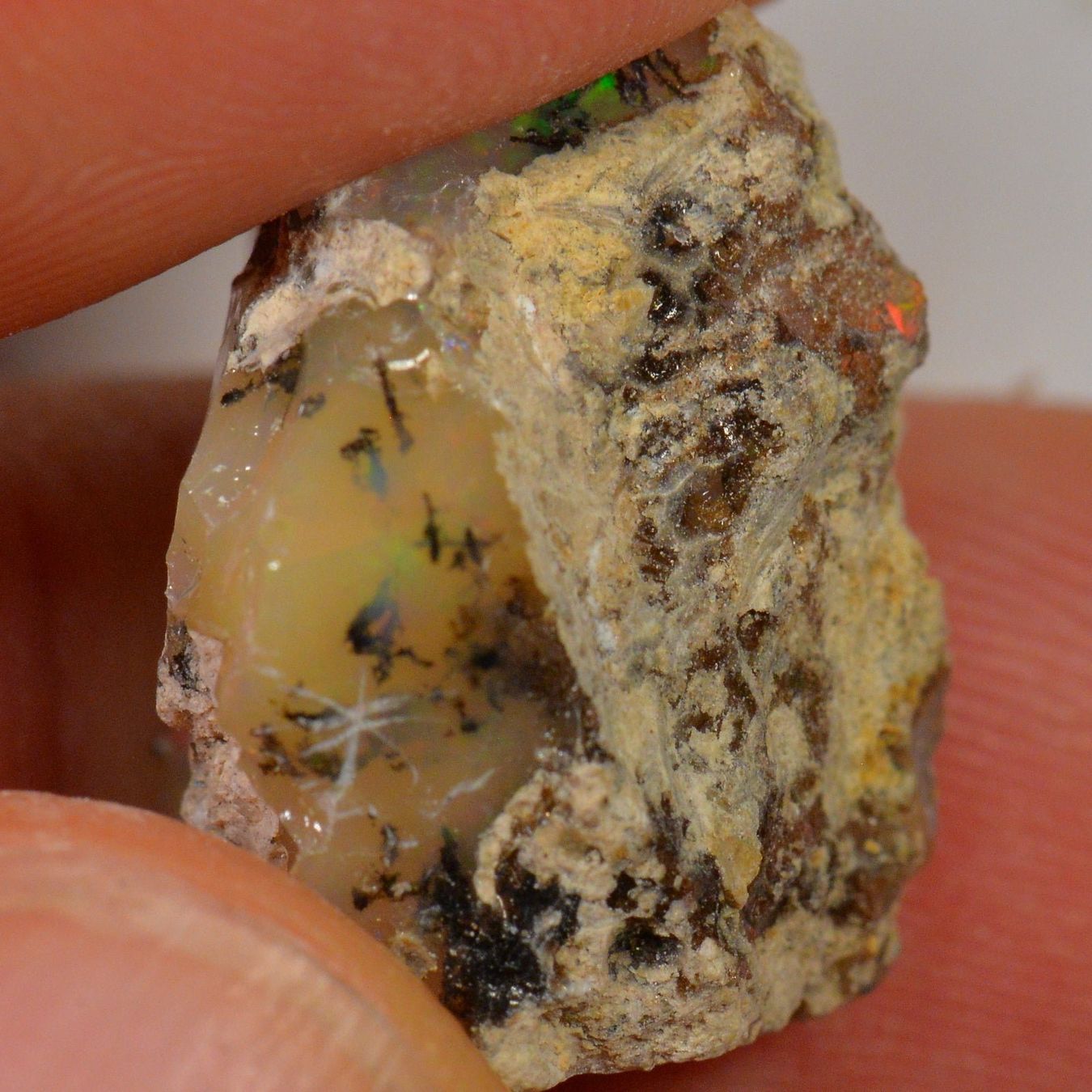Edelsteine: 13.5 Karat - Roher Äthiopischer Welo Opal – Neu (gemäss Beschreibung) aus Rüti ZH von DeinOpal 3