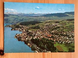 Wädenswil und die Alpen - AK 1966