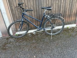 Fahrrad Basilisk Jucker