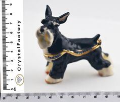 Dose, Hund, Terrier