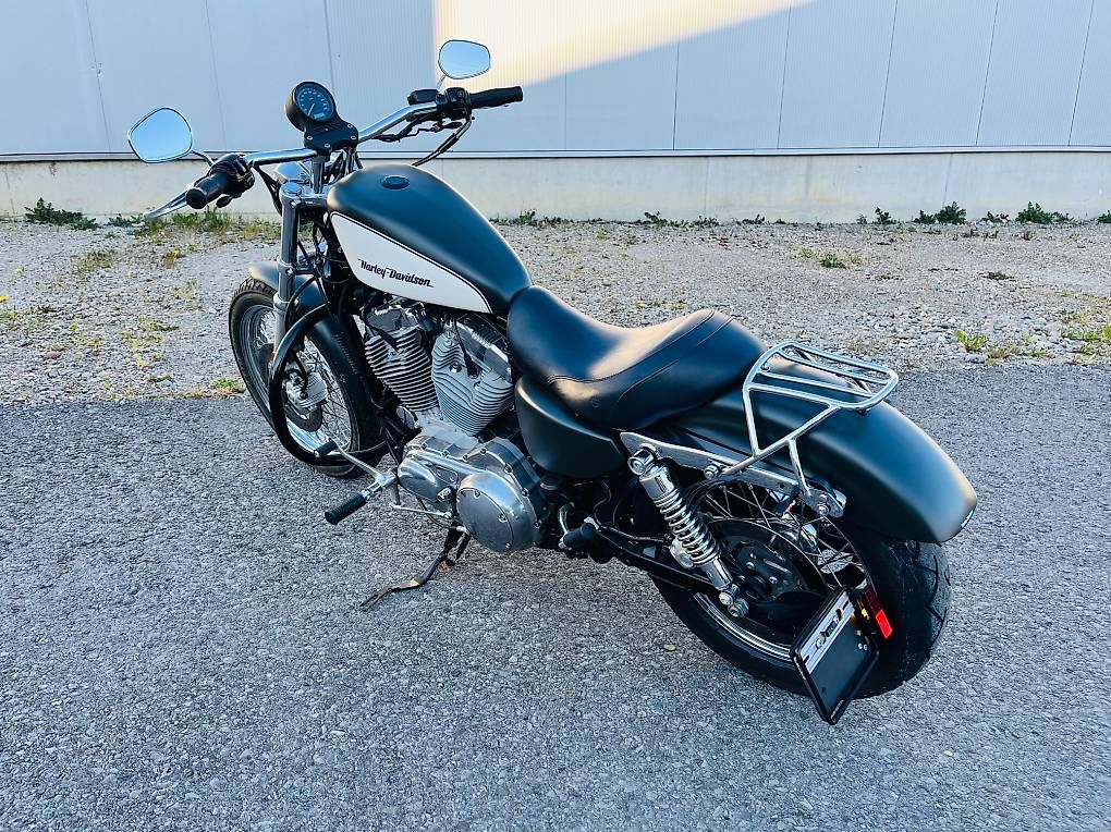 Chopper: Harley Sportster 883Low, Custom – Usato da Rufi venduto da Fabian900 1