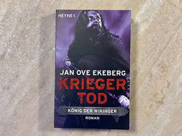 KRIEGER - KÖNIG DER WIKINGER - BAND 3 Roman Buch