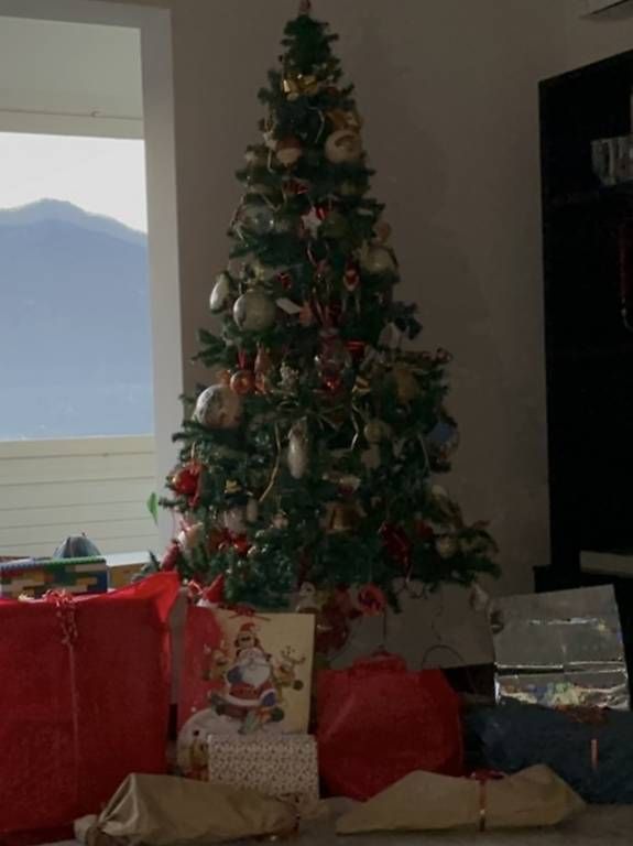 Tutte le decorazioni: Albero di Natale sintetico circa 2 m – Usato da massagno venduto da sar_8cdn 1