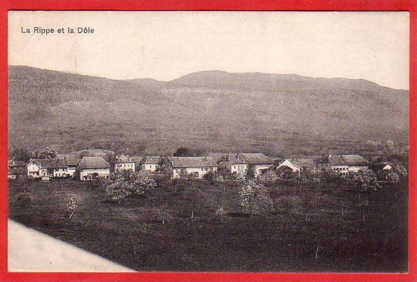 Cartoline postali: LA RIPPE ET LA DOLE 1907 – Usato da Grüningen venduto da Kartenlaube