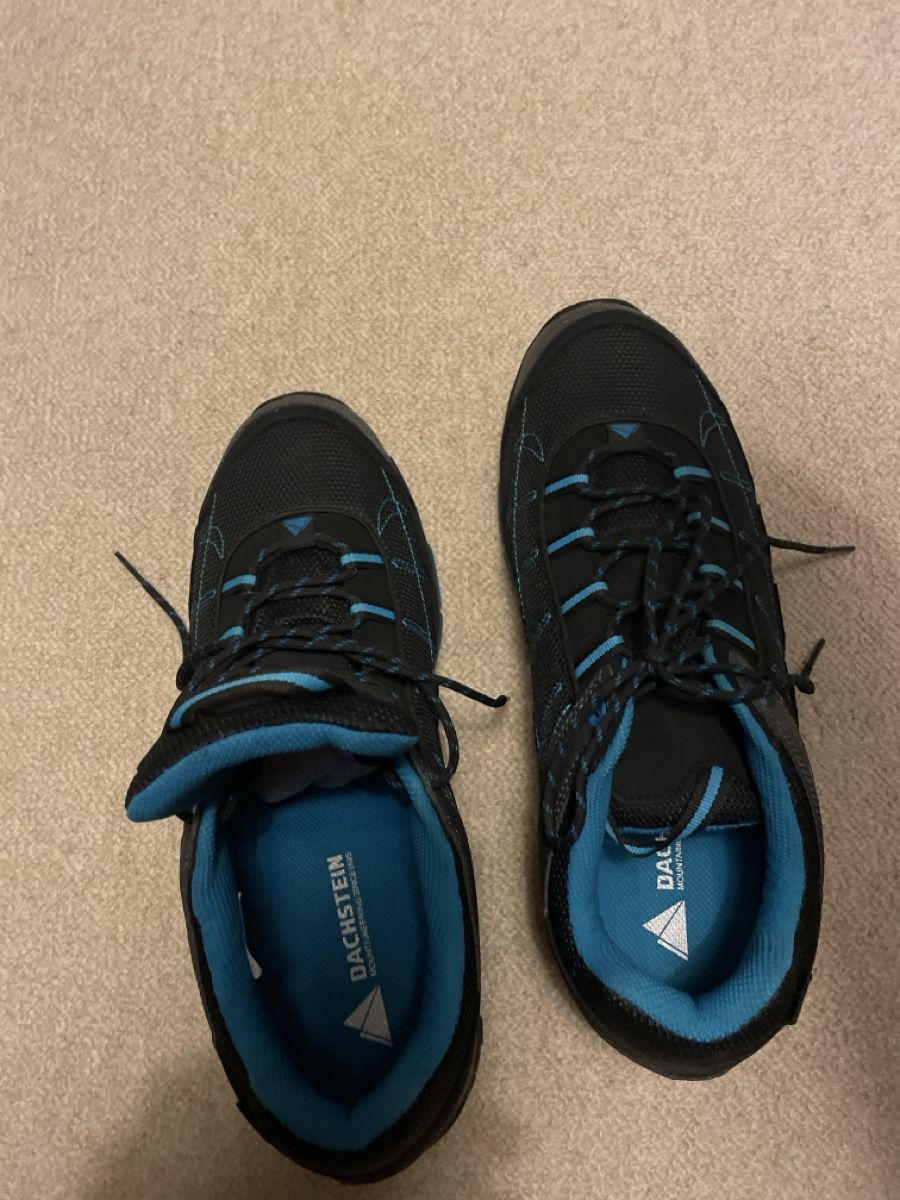 Dachstein Scarpe da uomo: Dachstein Wanderschuh tief – Nuovo (secondo la descrizione) da Bollingen venduto da makenschmuschki