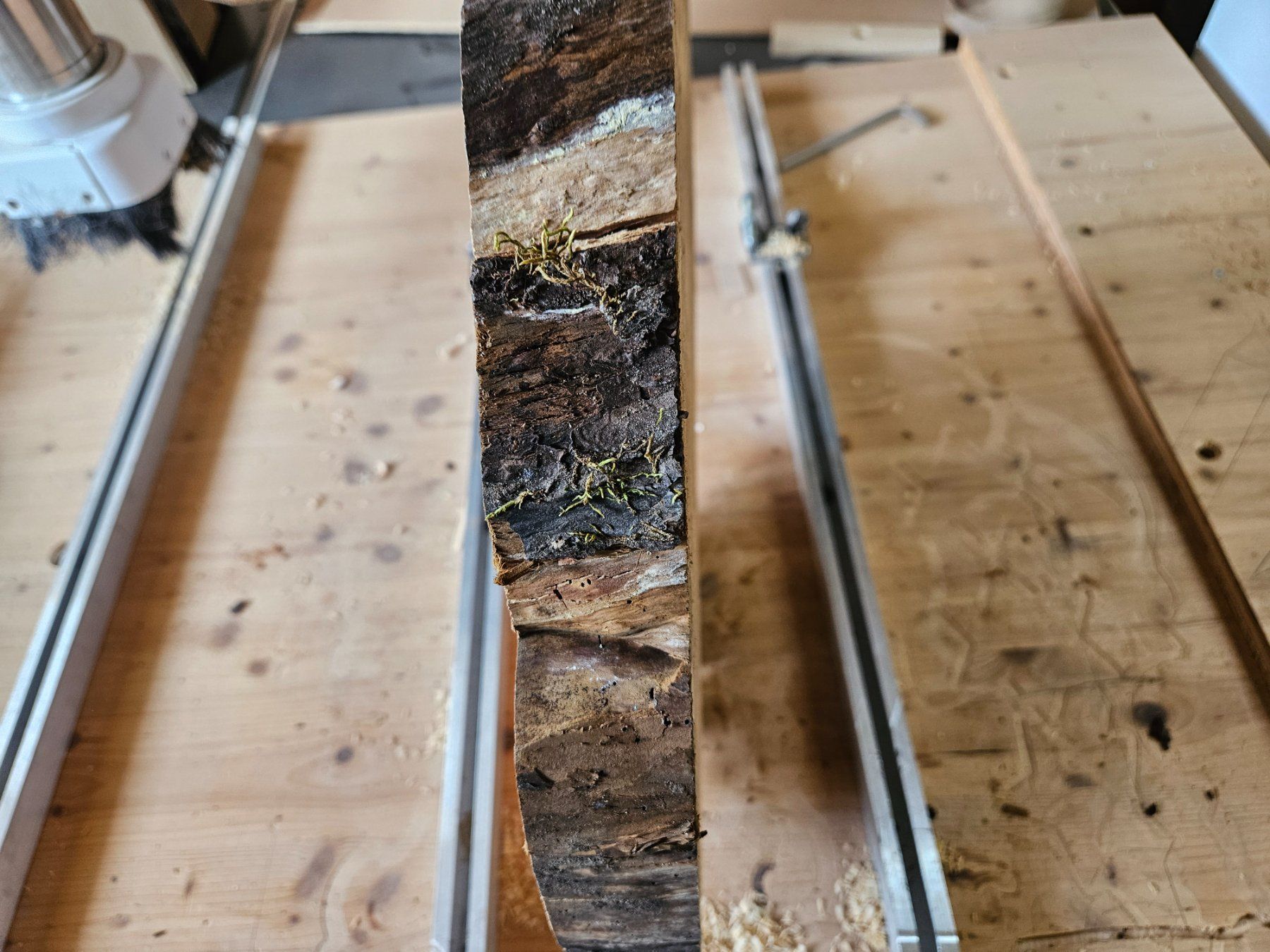 Articles en bois: Baumscheibe Kirschbaum Holz – Neuf (Voir description) à Schangnau par egli6.2 1