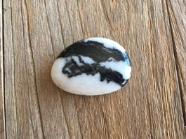 ZEBRAMARMOR  HANDSCHMEICHLER / TASCHENSTEIN