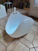 Litière pour chat