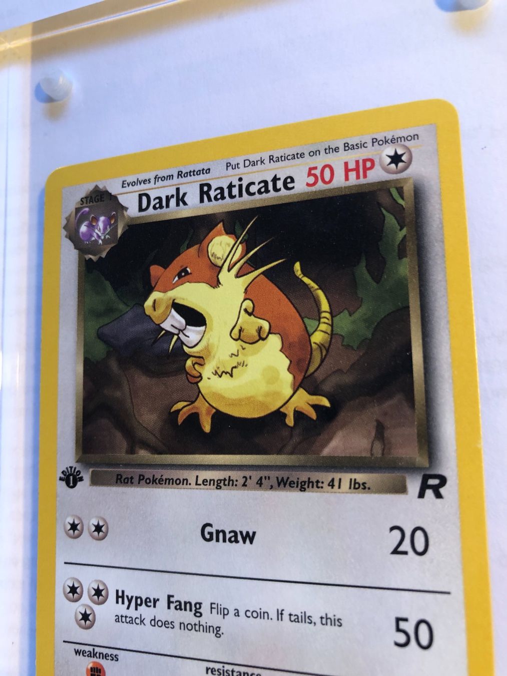 Cartes à collectionner: Dark Raticate 1st Team Rocket - MINT - ab 1.- – D'occasion à Giubiasco par dan_pr8b 3