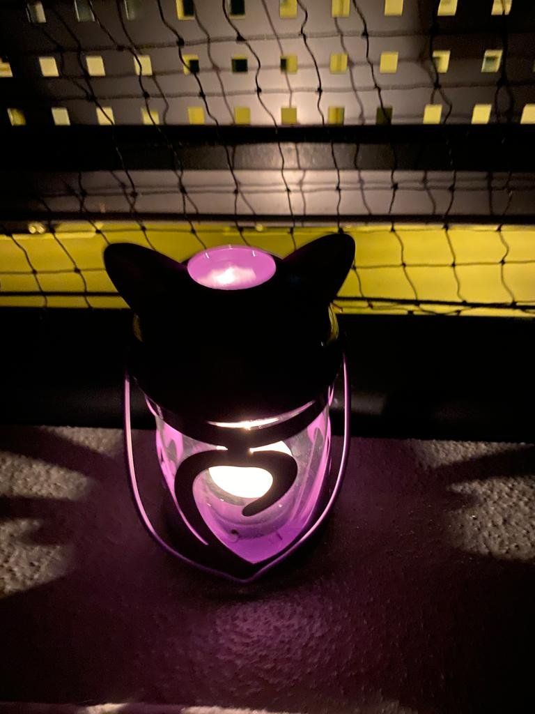 Lanterne: Laterne mit Kerze - Katzenmotiv – Usato da Rümlang venduto da Cat-Judy 8