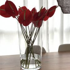 Profile image of Fraueinzig