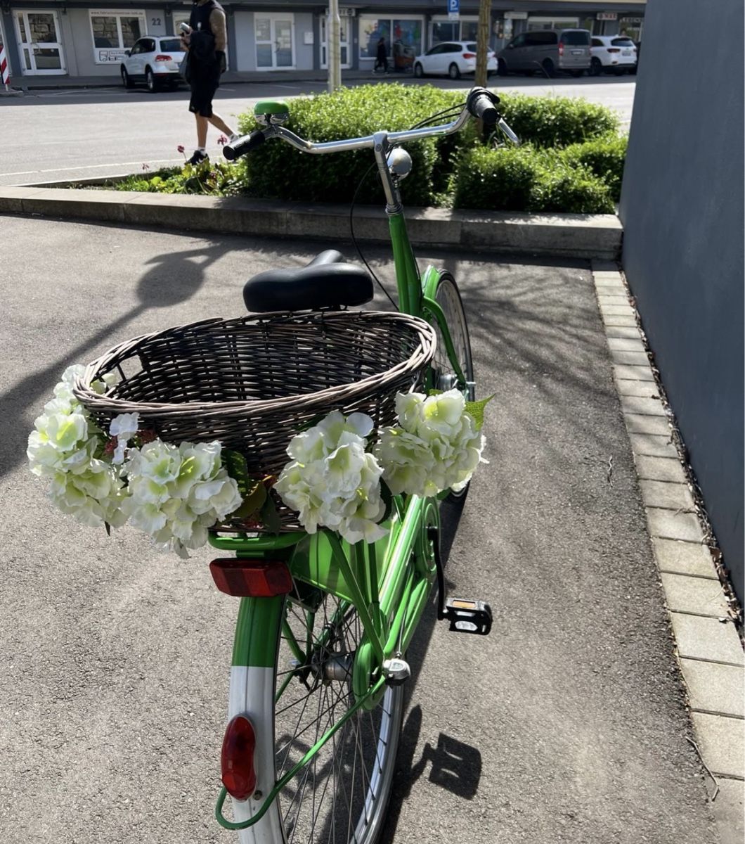 Biciclette: Hollandvelo Columbus – Usato da Fällanden venduto da Caramel7