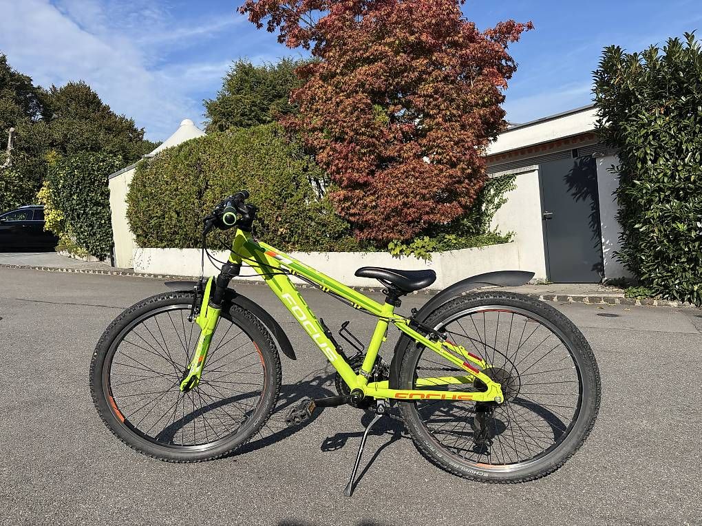 Focus Velos: Focus Raven Kindervelo – Gebraucht aus Adligenswil von Sonderfall1979