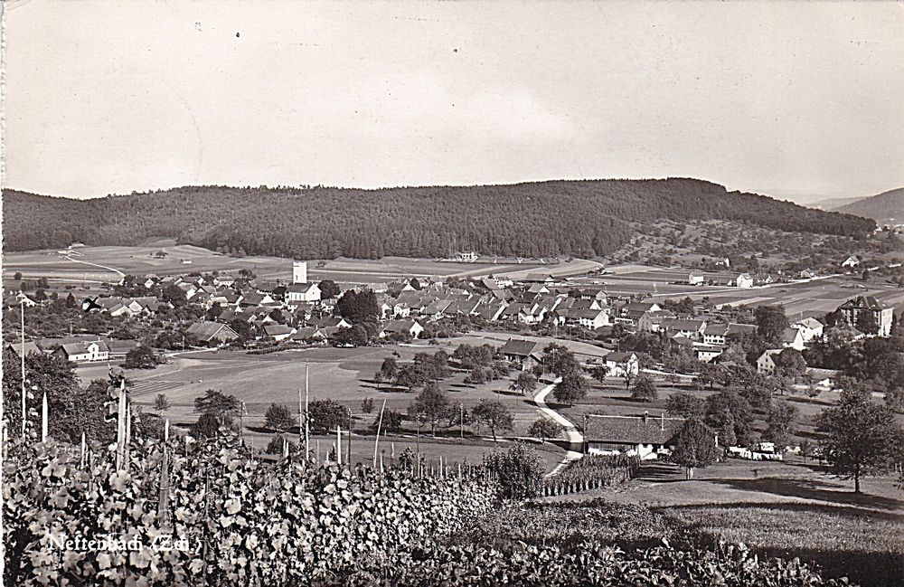 Neftenbach (ZH) Ortsansicht. 1949 | Kaufen Auf Ricardo