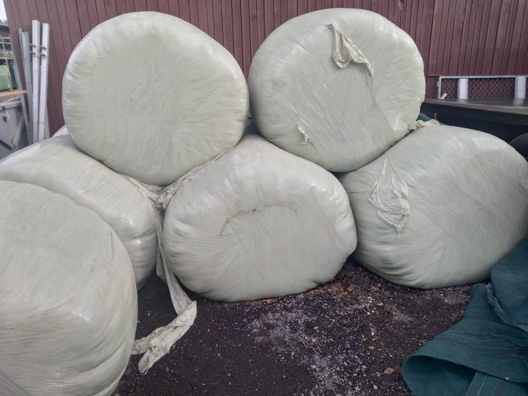 Mangimi: 9 Stück Grassiloballen – Nuovo (secondo la descrizione) da Bonstetten venduto da fogala