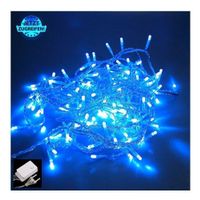 LED Lichterkette 100 Led