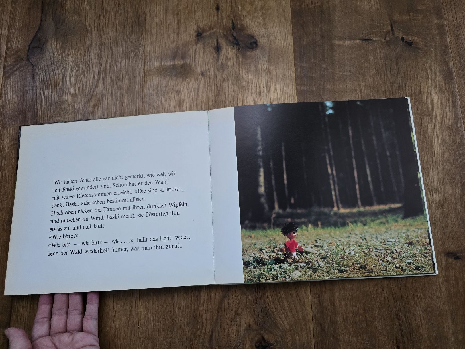 Libri: buch baski – Usato da Wittenbach venduto da Tigerlili 5