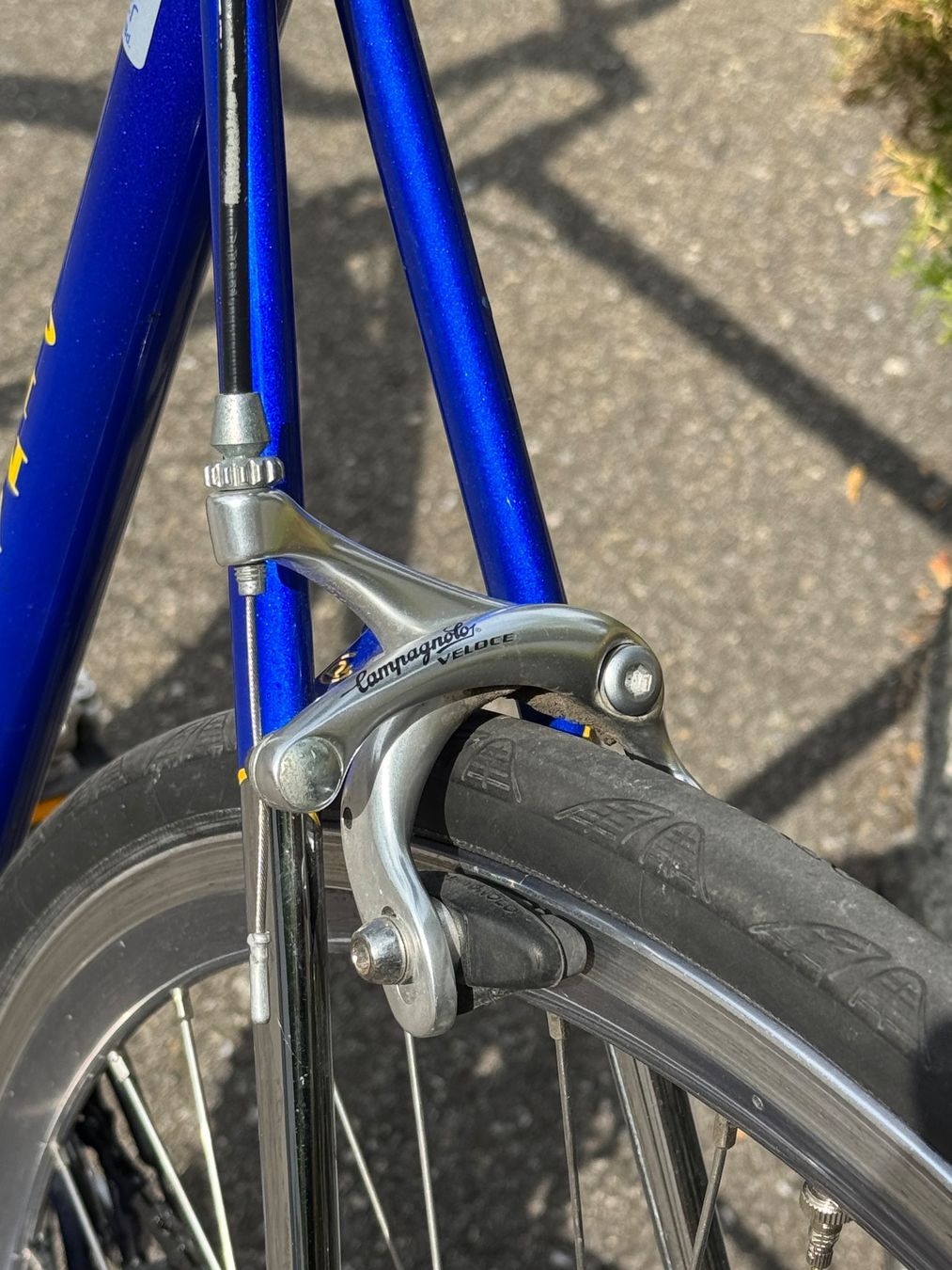 Biciclette: Pinarello Stelvio mit Campagnolo Komponenten – Usato da Berg SG venduto da cil_p8z9 5