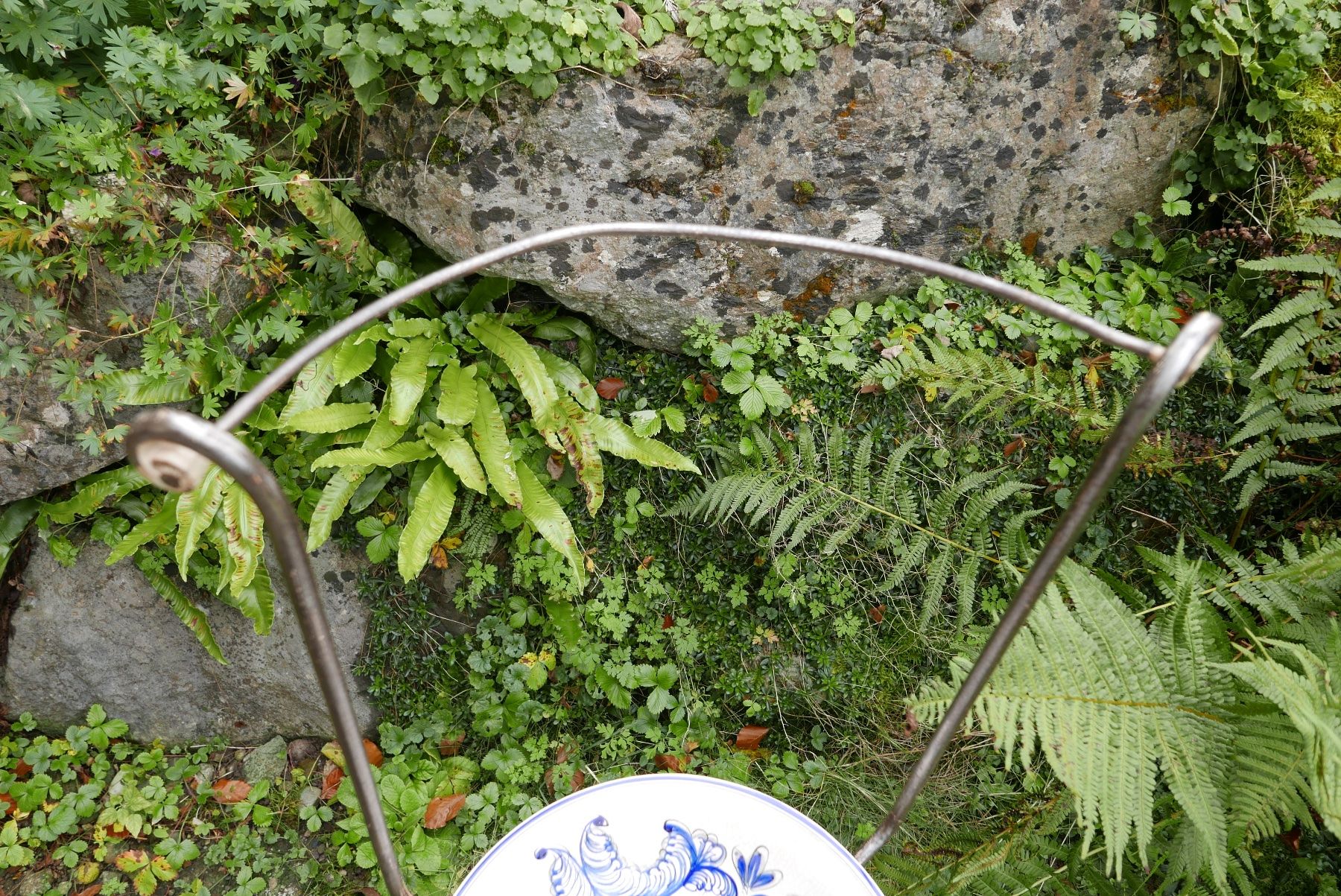 Set di piatti: Nostalgisches Waschtisch-Set mit passender Schüssel. – Usato da Baden venduto da goodkarma 8