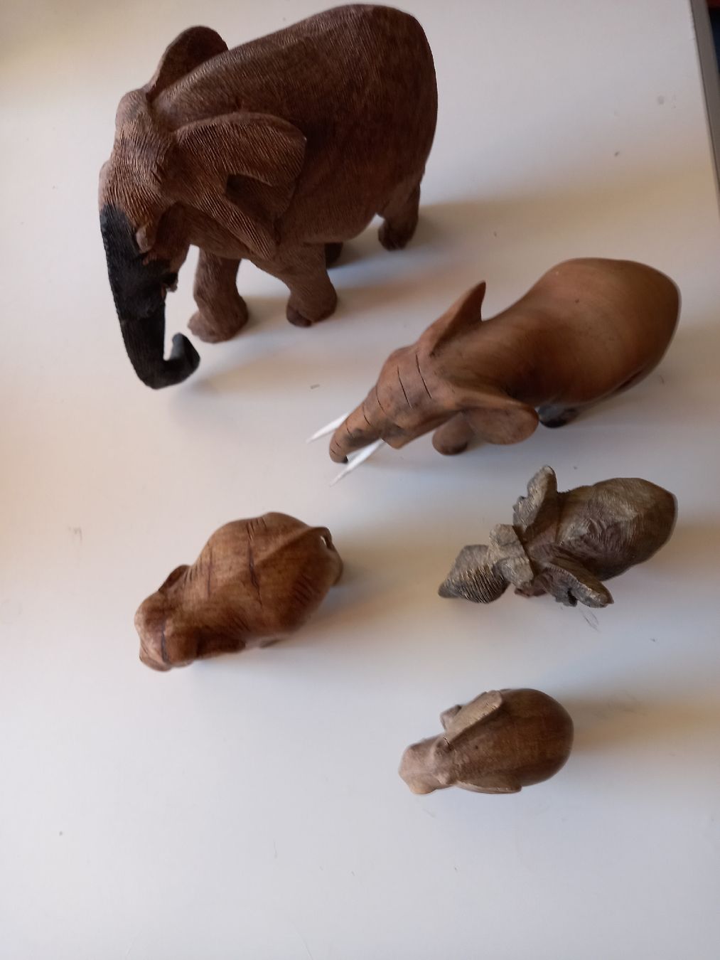 Figurines: Elephanten Herde – D'occasion à Seon par Zack_16 1