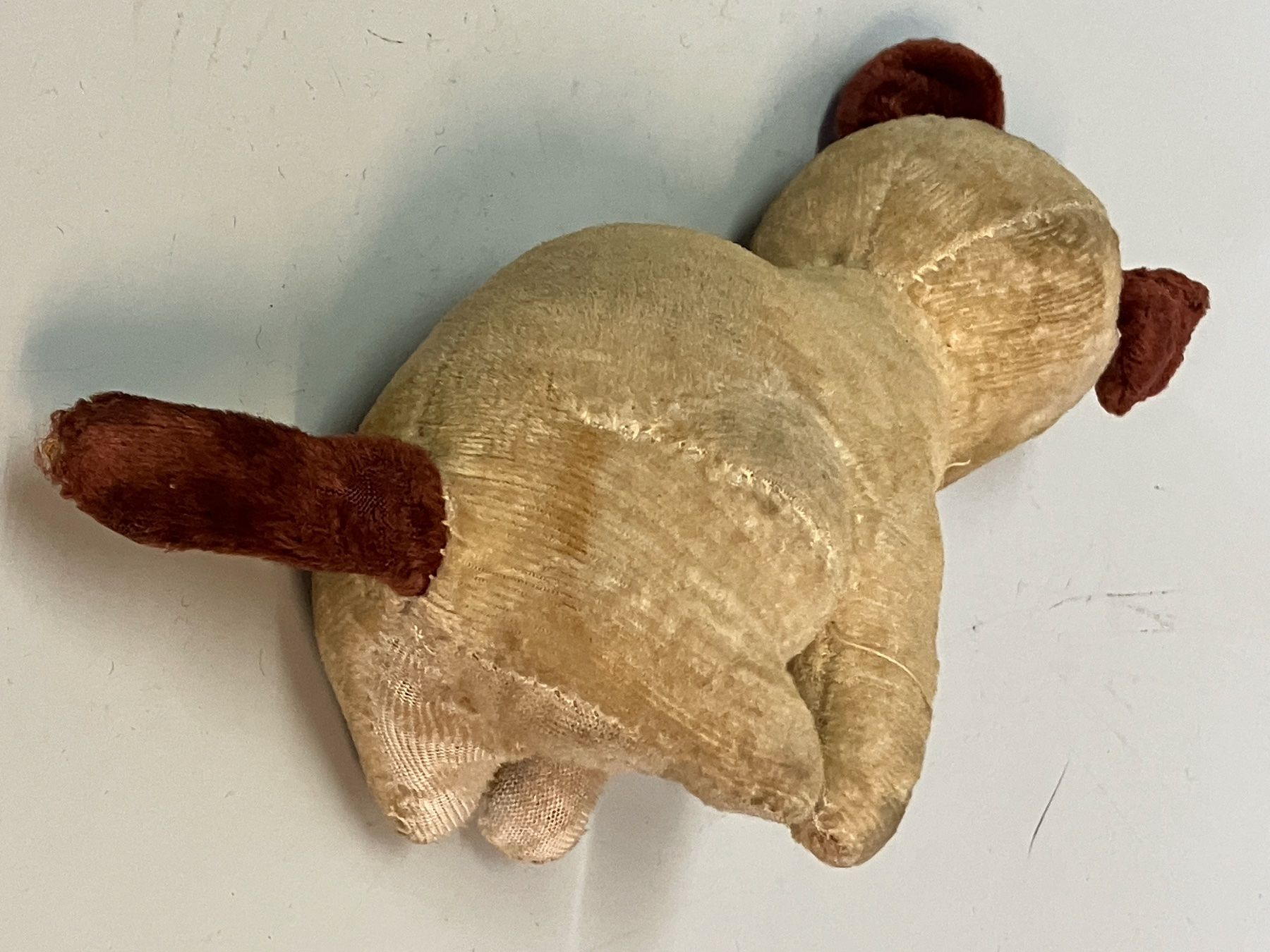 Giocattoli: Antikes Plüschtier kleiner Hund – Usato da Horw venduto da luzernicus 1