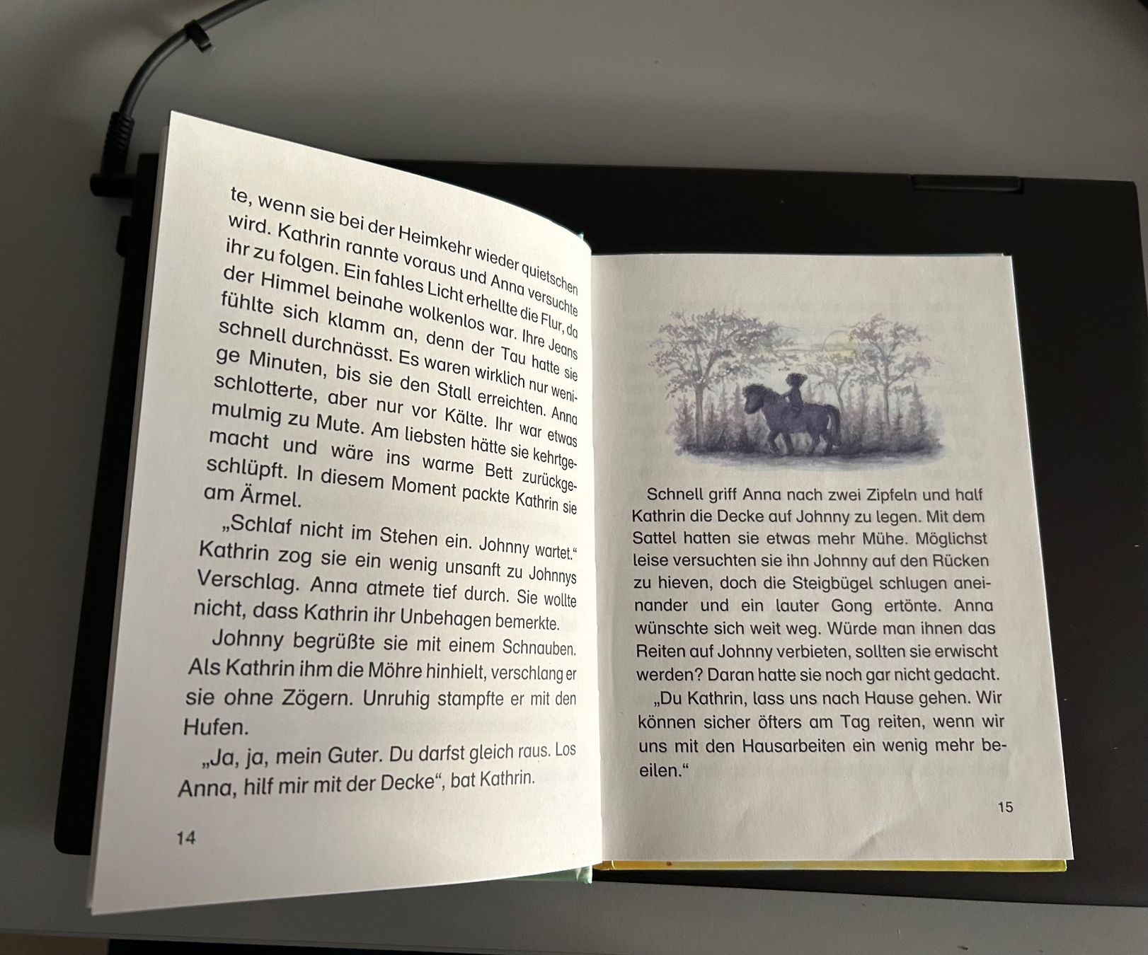 Libri: Schmökerbären - Ponygeschichten – Usato da Bassersdorf venduto da Shelby70 1