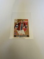 Erling Haaland Extra Sticker Bronze Panini WM 2026 BRONZE
