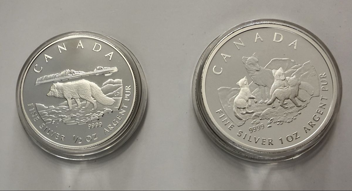 Tutti le monete: 2004 Kanada Arctic Fox Silbermünzen-Set – Usato da Zürich venduto da Circle-9-Coins 2