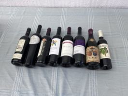 8 Flaschen Weine (57)