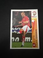 Panini UEFA EM 2008 Sticker - Nr. 470