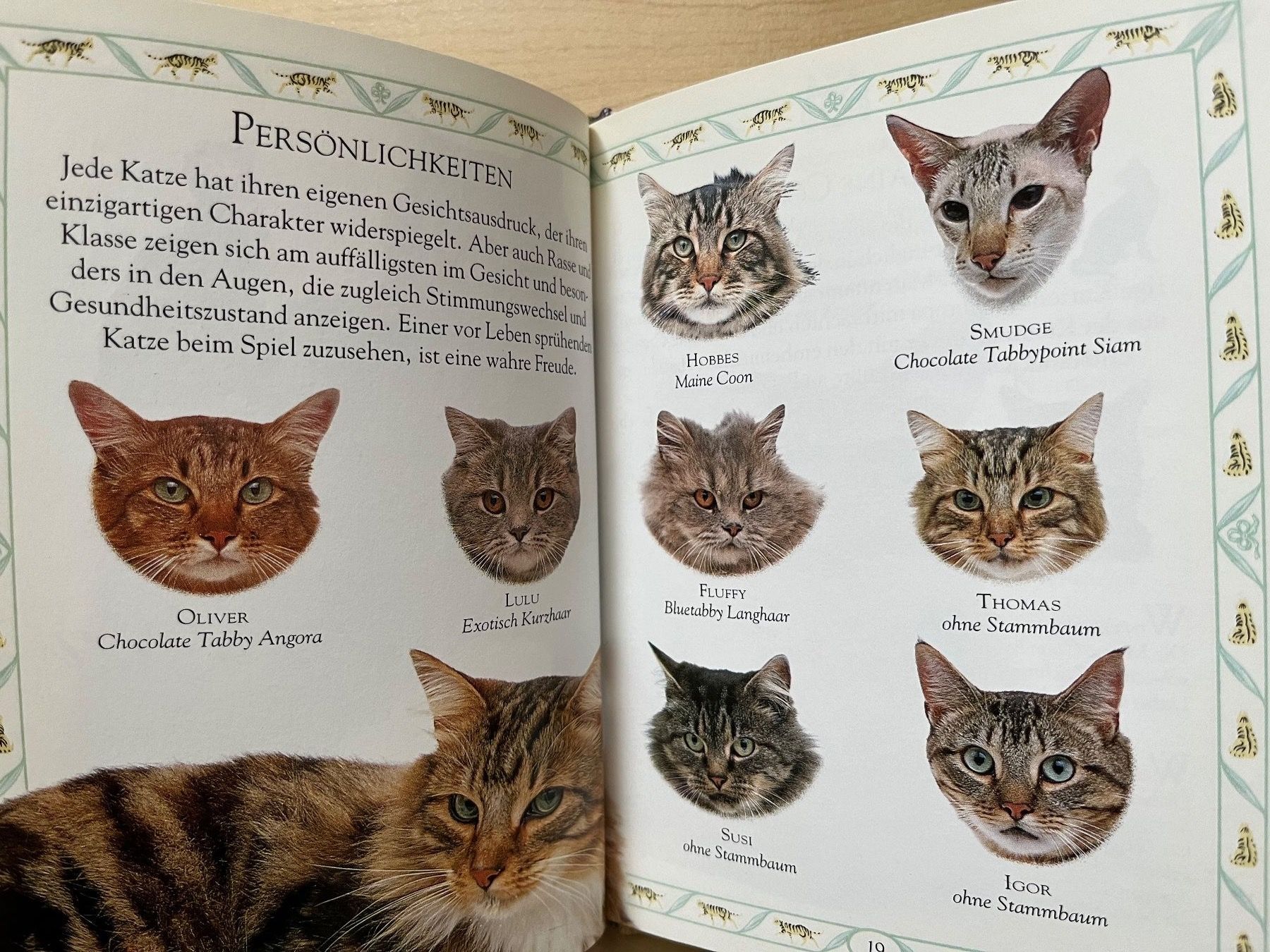Libri: Tigerkatze - Das persönliche Brevier – Usato da Zürich venduto da Gurkis 4