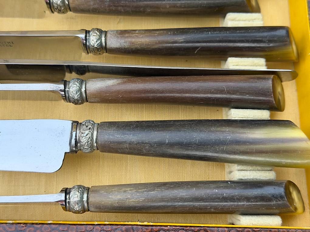 Posate: Couteaux avec manches en corne – Usato da Preverenges venduto da mih_vqg5 1