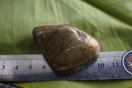 chalkopyrit  Natur Trommelstein    ab  1.-     Räumung