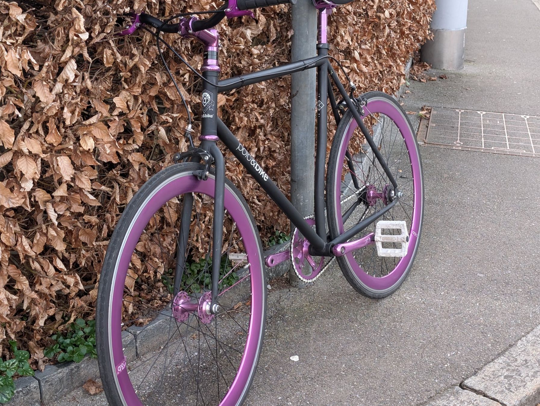 Velos: Poloandbike Nigra II Fixie / Singlespeed, 54 cm, 26 Zoll – Gebraucht aus Zürich von greg_richrd 1