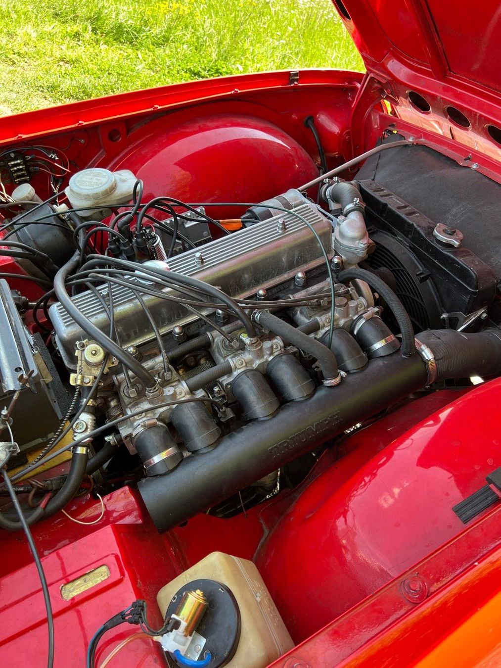Triumph Automobili: Triump TR6 PI – Usato da Aarburg venduto da Patricknu 6