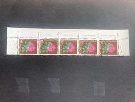Schweiz 1964 Pro Juventute 30 Rotklee 5er-Steifen alle TABS