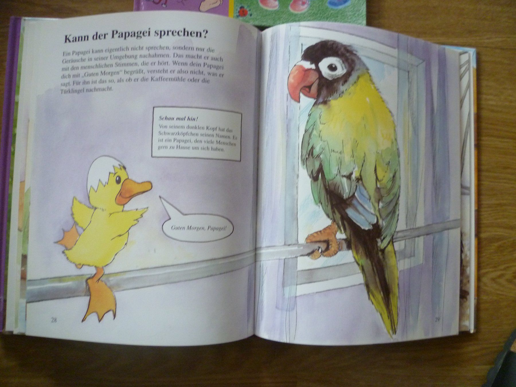 Bücher: Kinderbücher – Gebraucht aus Bargen BE von angel611 1