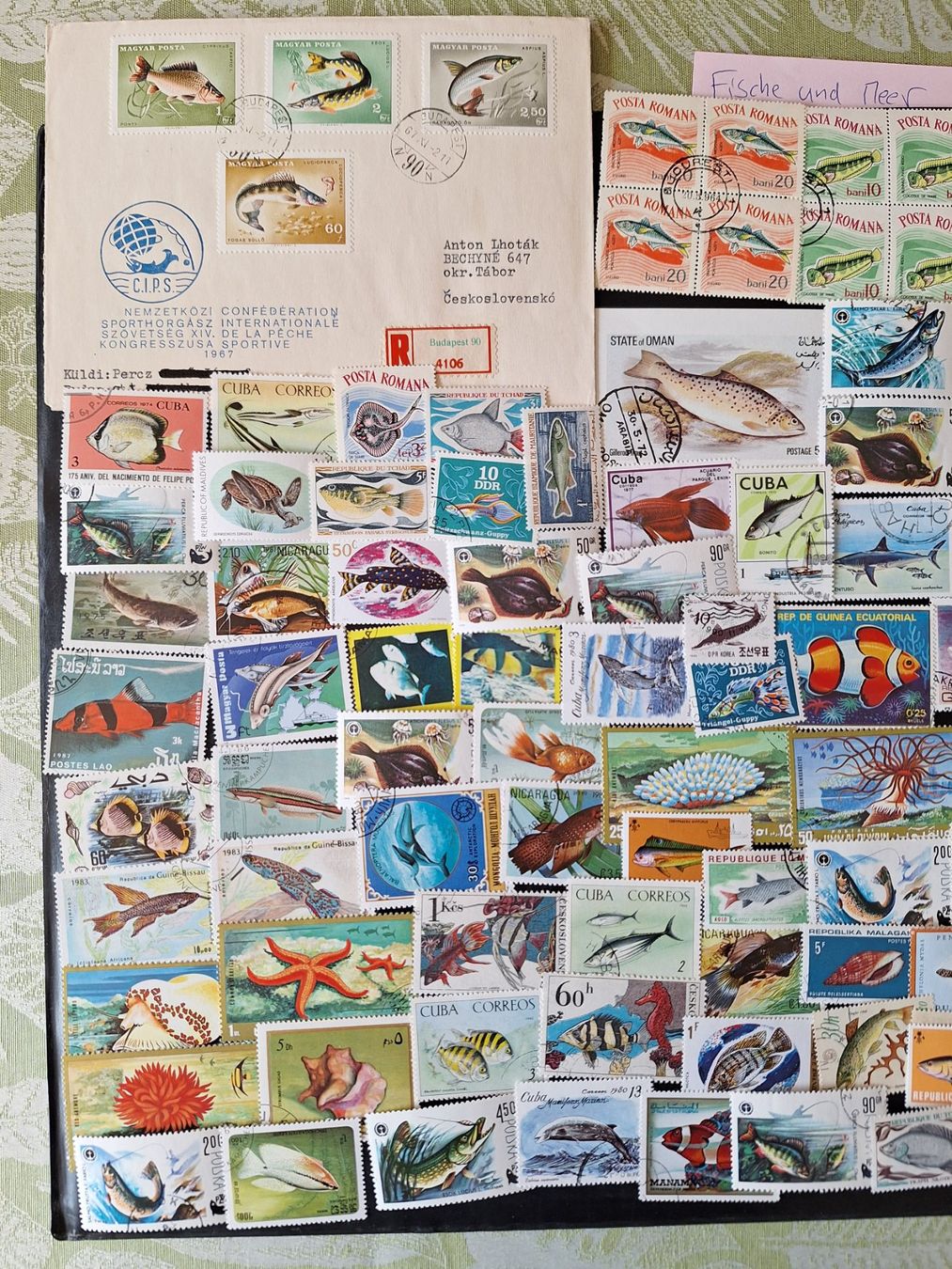Tutti i francobolli: Grosse Fische und Meer-Sammlung – Usato da Genolier venduto da Antoine30 4