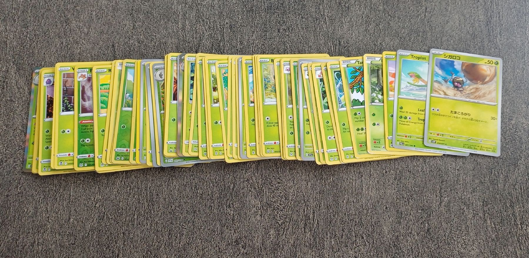Pokémon Carte collezionabili: Pokémon Karten Sammlung mit Ordner – Usato da Egnach venduto da Matto01 4
