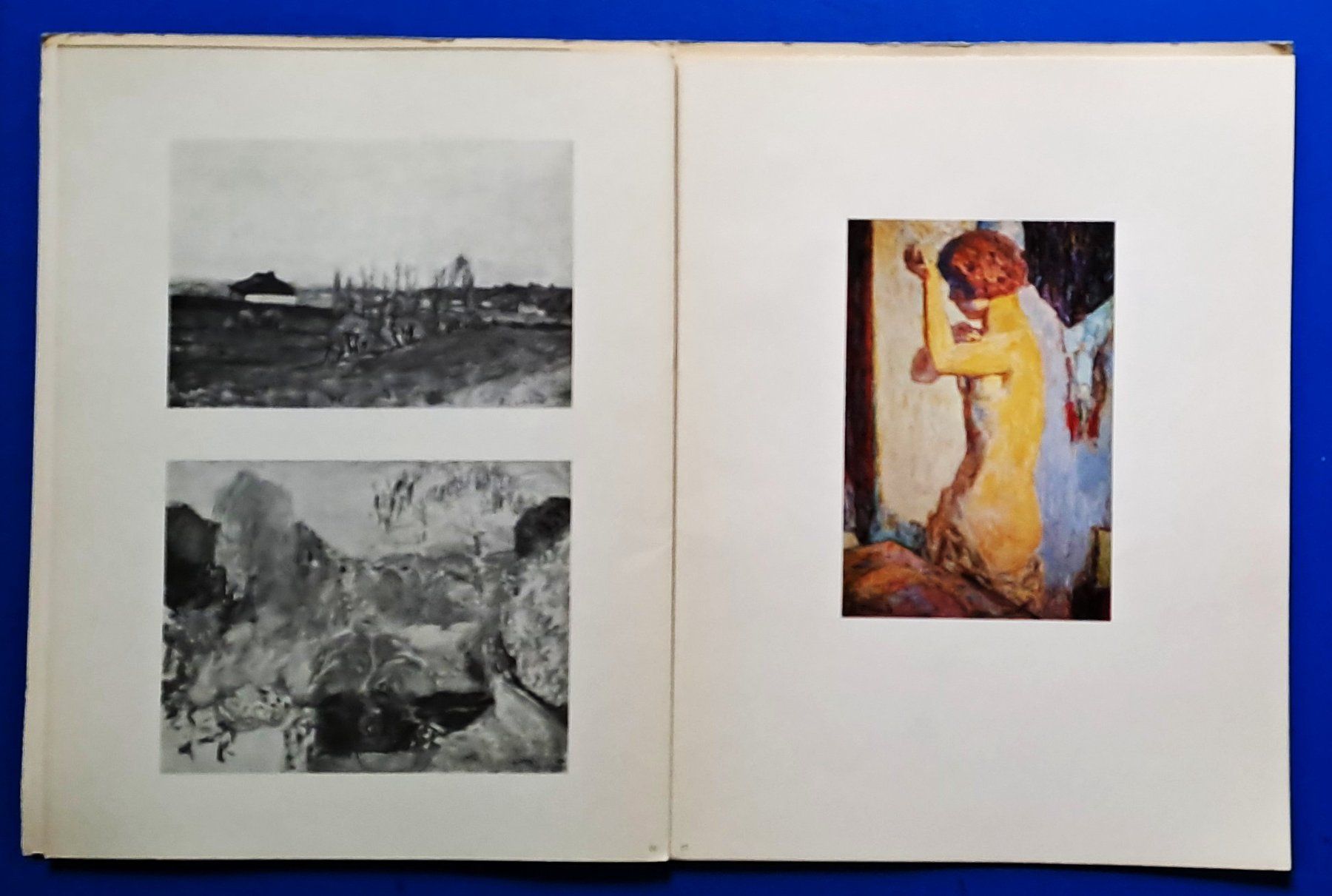 Libri: BONNARD  vollständiges Ex. SUITES No. 23 EA 1969 – Usato da Zürich venduto da archiphil 7