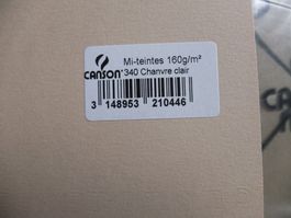 CANSON Mi-Teintes Papier 160 g/qm 50x65cm Nr.340 Antik