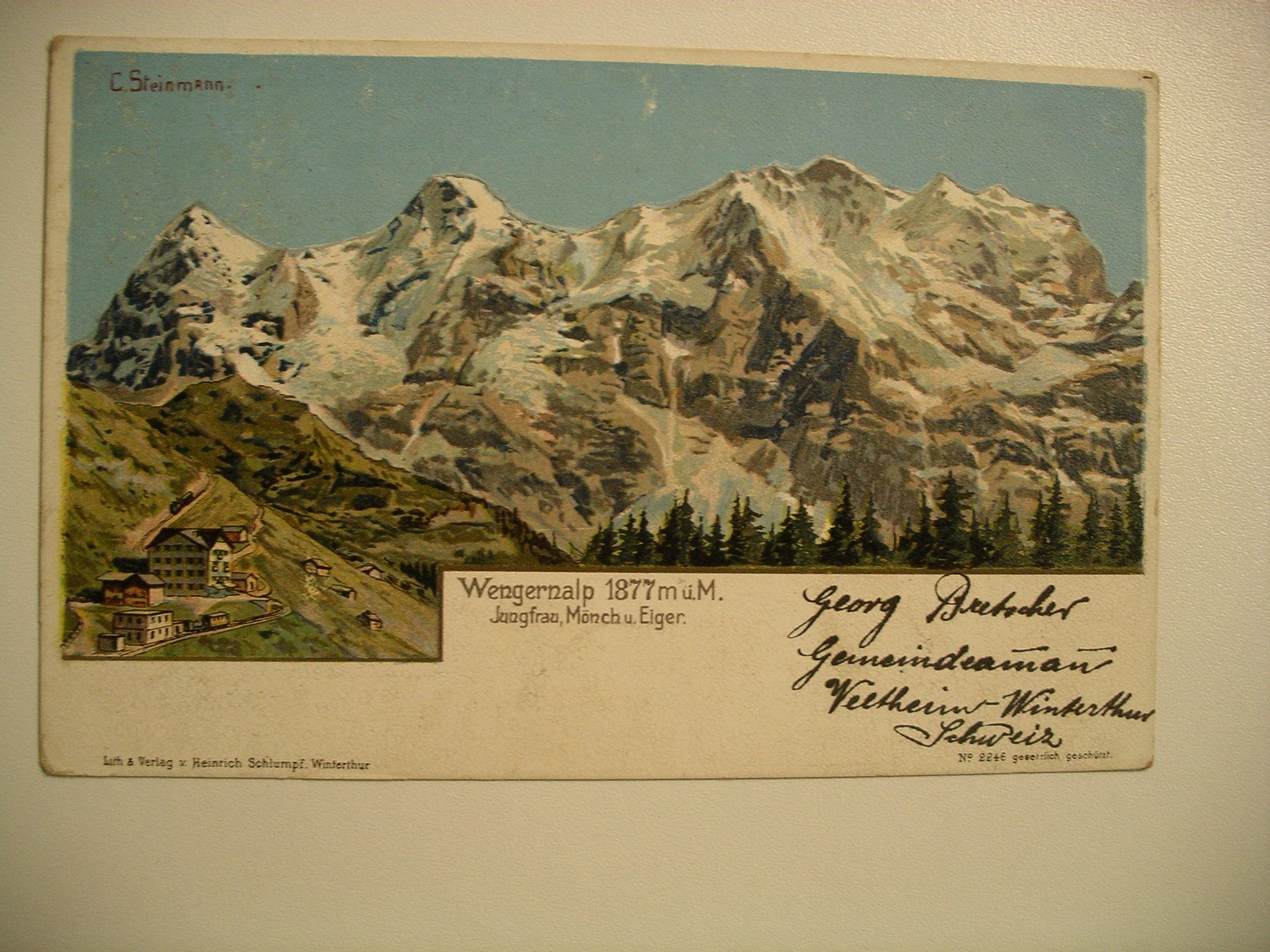 Cartoline postali: farbigeLithoAK  WENGERNALP – Usato da Oberhofen am Thunersee venduto da luuping99