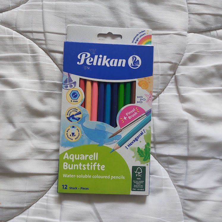 Pelikan – 12 Craies De Couleur Pour Tableau Noir – Jaune, Orange, Rouge, Bleu, Vert, Marron, Ocre – Couleurs Vives