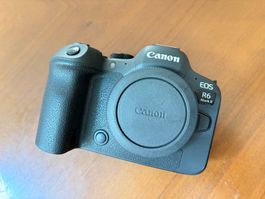 Canon R6 Mark II + RF 28-70 f/2, RF 100mm f/2.8, RF 24-240