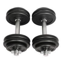 Kurzhantel Gusseisen 2 x 15 kg