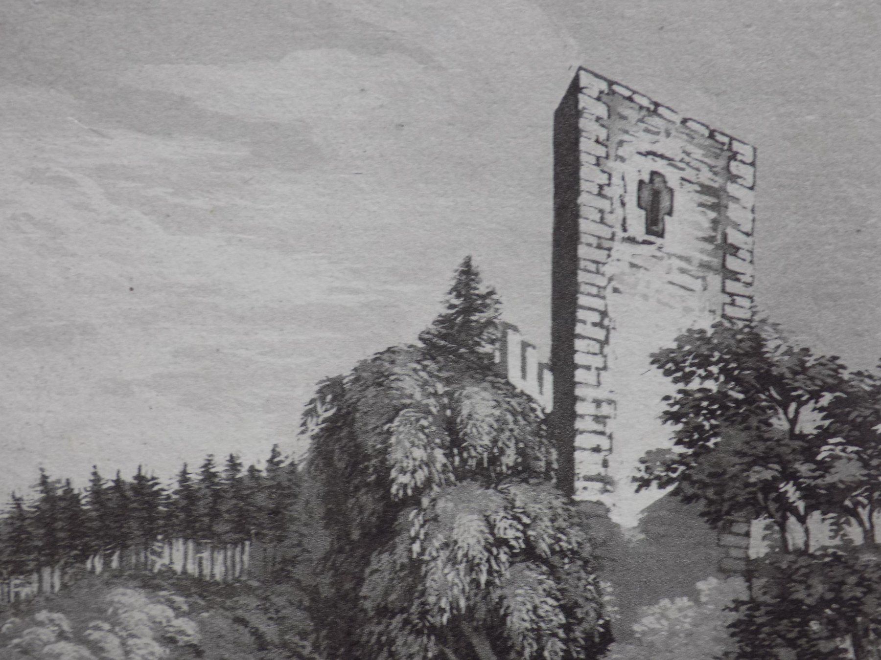 Incisioni: Castel Tägerwilen – Usato da Risch venduto da Rischli15 7