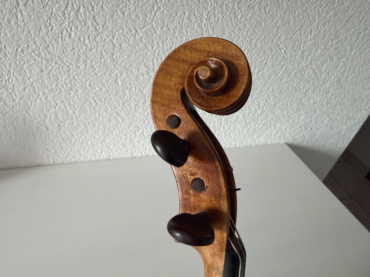 Strumenti musicali: Violon Allemand 4/4 – Usato da bassecourt venduto da LiN2004 7