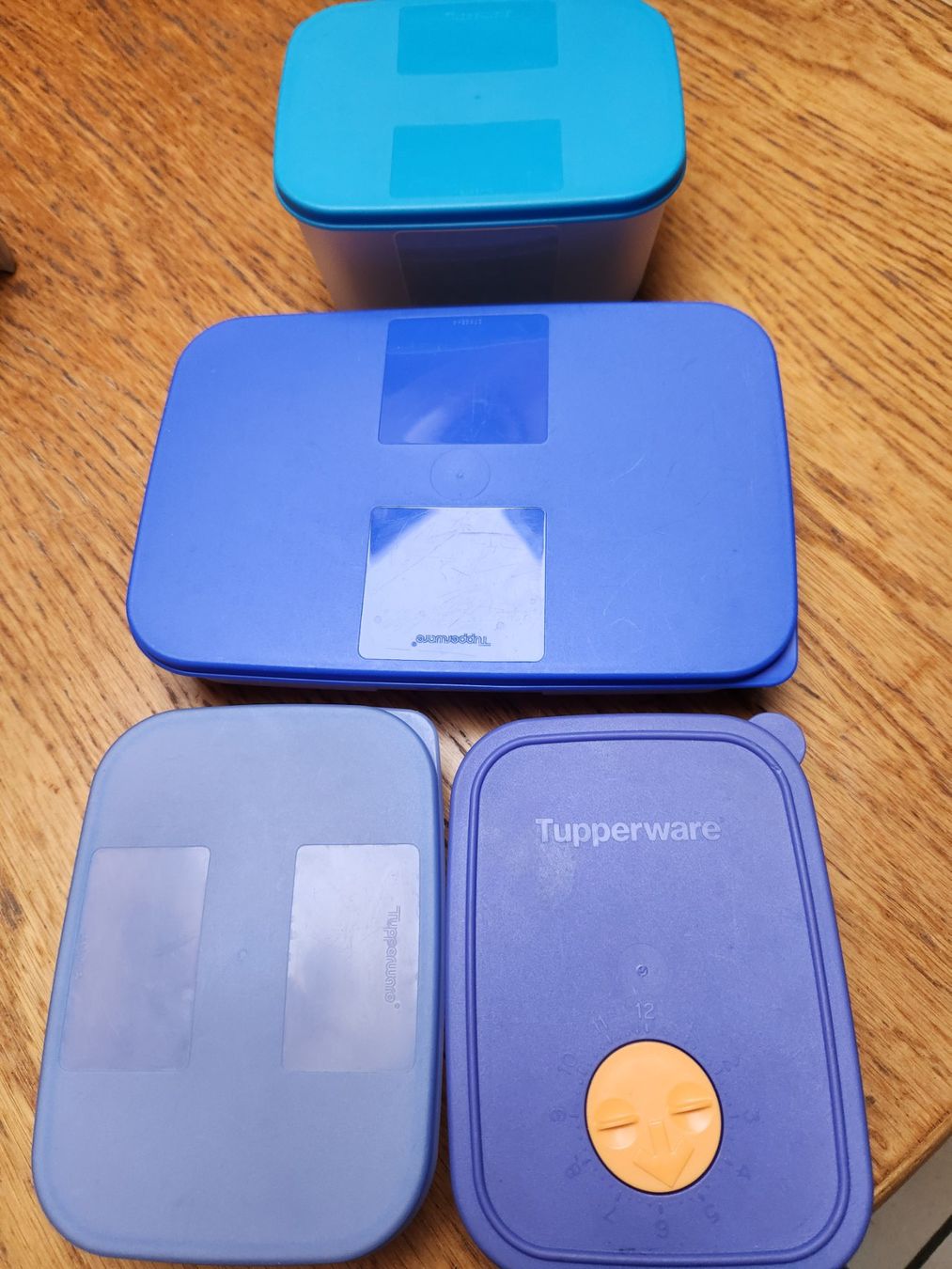 Tupperware Contenitori & Simili: Tupperware 3 Behälter flach,  + einmal 7.5cm höhe – Usato da Gstaad venduto da Kuhstall-2026